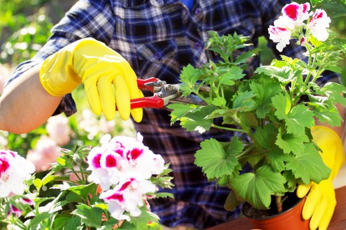 Gardener inspecting a garden in Yeading