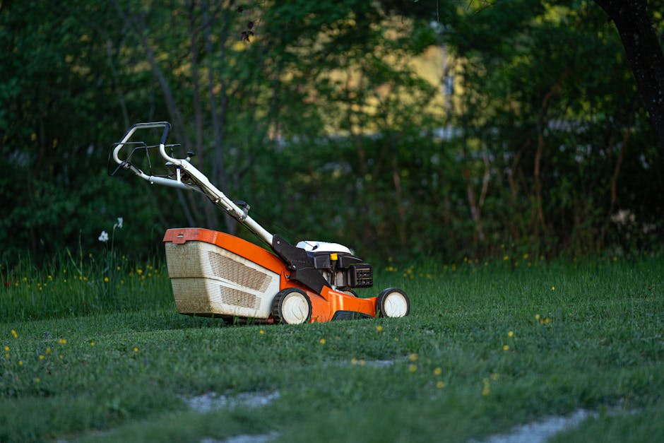 A close-up view of an orange and white petrol-powered lawn mower resting on a well-maintained grassy lawn, with a background of lush green trees and shrubs. The mower features a textured grass collect