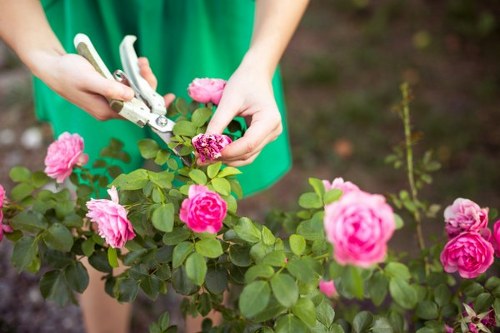 Tree and shrub care in Yeading
